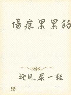 伤痕累累的勋章封面