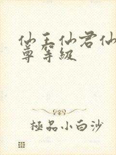 仙王仙君仙帝仙尊等级