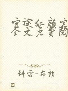 官途红颜完整版全文免费阅读