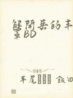 解开岳的丰满奶罩BD封面