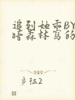 追到她乖BY黑暗森林写的小说