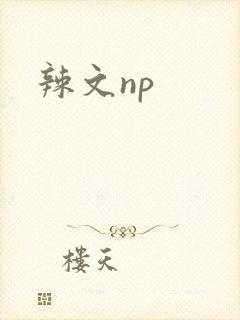 辣文np
