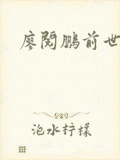 廖阅鹏前世今生封面