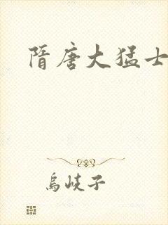 隋唐大猛士封面