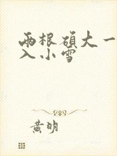 两根硕大一起挤入小雪封面