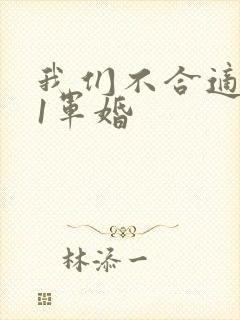 我们不合适1v1军婚