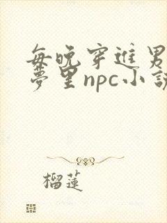每晚穿进男神的梦里npc小说