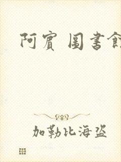 阿宾 图书馆封面