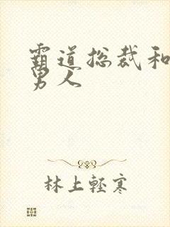 霸道总裁和他的男人封面