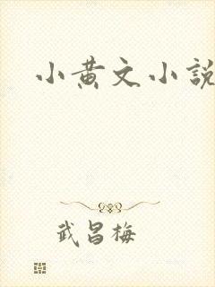 小黄文小说