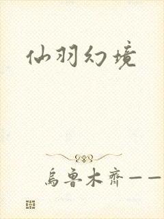 仙羽幻境封面