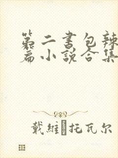 第二书包辣网短篇小说合集
