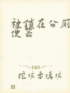 被锁在公厕当坐便器