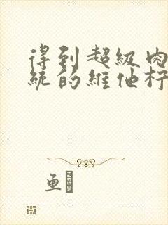 得到超级肉禽系统的维他柠檬茶