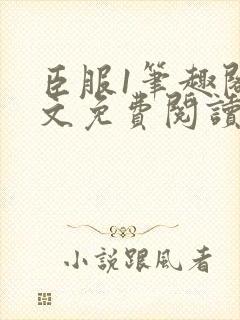 臣服1笔趣阁全文免费阅读无弹窗封面