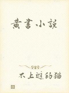 黄书小说