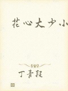 花心大少小说