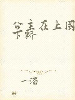 公主在上国师请下轿