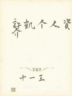 许凯个人资料简介