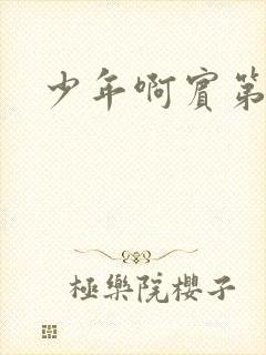 少年啊宾第二部封面