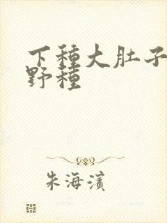 下种大肚子怀孕野种封面