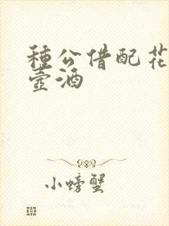 种公借配花间一壶酒