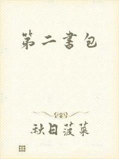 第二书包