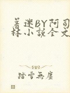 着迷BY阿司匹林小说全文免费阅读