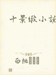 十景缎小说