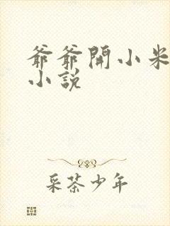 爷爷开小米的包小说