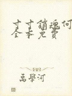 寸寸销魂何生祥全本免费