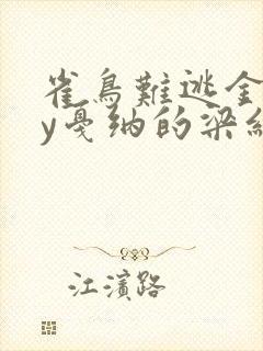 雀鸟难逃金笼by戛纳的梁红封面