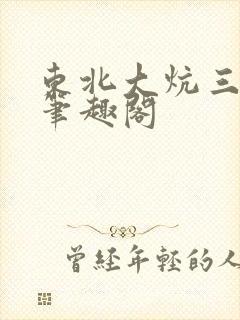 东北大炕三部曲笔趣阁