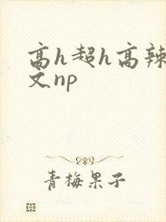 高h超h高辣h文np