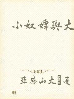 小奴婢与大少爷