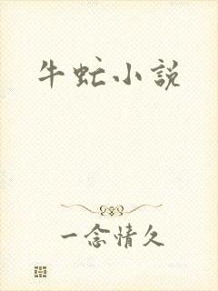 牛虻小说