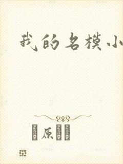 我的名模小娇妻封面