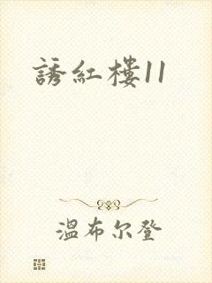 诱红楼11