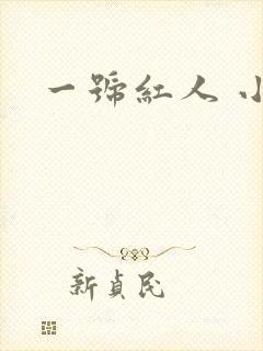 一号红人 小说封面