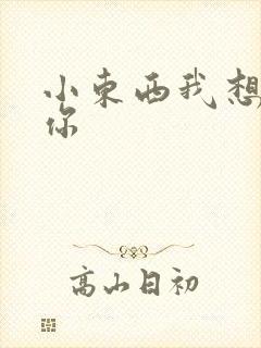 小东西我想弄坏你