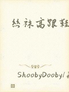 丝袜高跟鞋小说