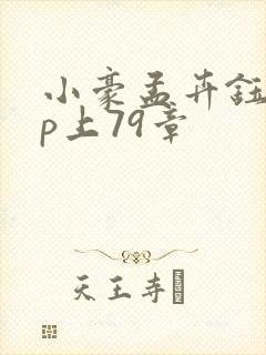 小豪孟卉钰慧三p上79章