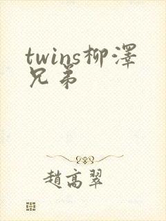 twins柳泽兄弟