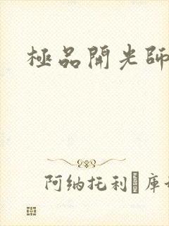极品开光师