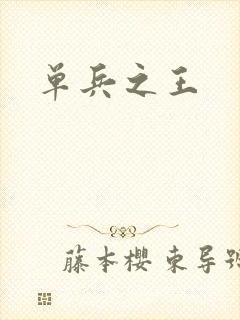 单兵之王