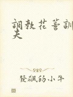 调教花蒂训诫从夫封面