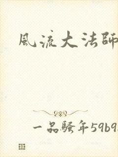 风流大法师封面