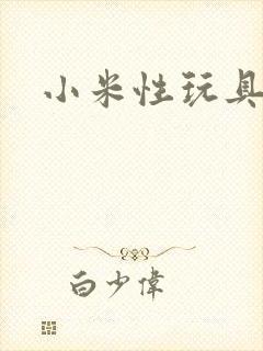 小米性玩具日记