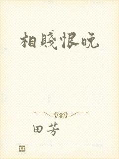 相贱恨晚封面