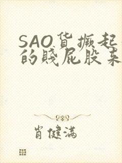 SAO货撅起你的贱屁股来